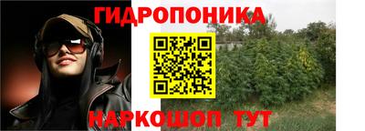 mix Бийск