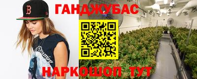 mix Бийск