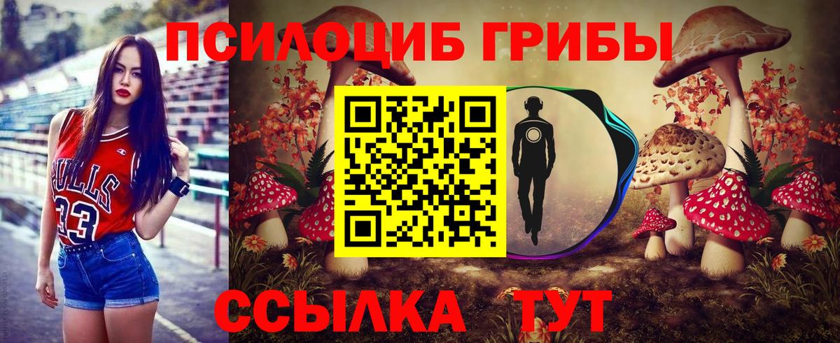 Псилоцибиновые грибы Magic Shrooms  Галлюциногенные грибы Magic Shrooms  Вход с VPN  Карачаевск 